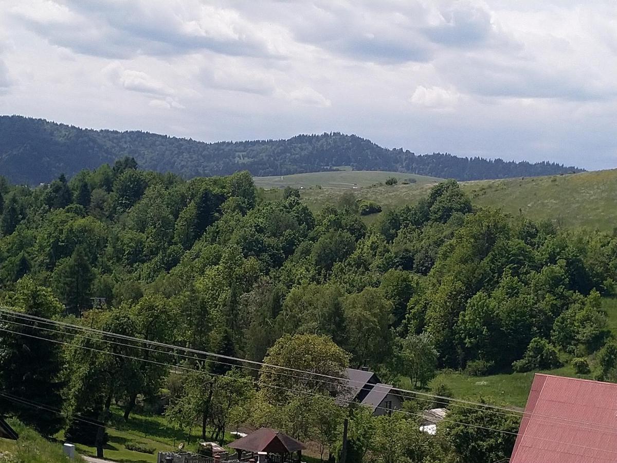 Domki Nad Strumykiem Villa Krościenko Exterior foto